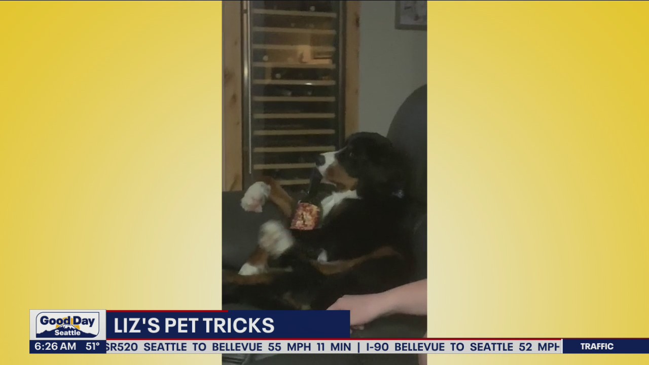 Liz's Pet Tricks for Tuesday, May 24