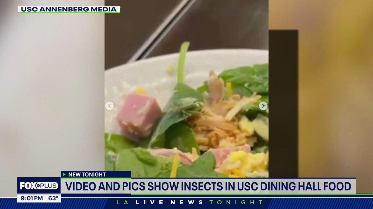 Insects found in USC dining hall food