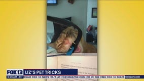 Liz's Pet Tricks for Wednesday, April 26