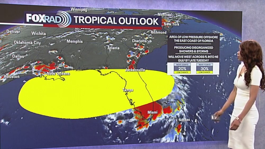 Tropical Weather Update - Watching the Gulf for possible development