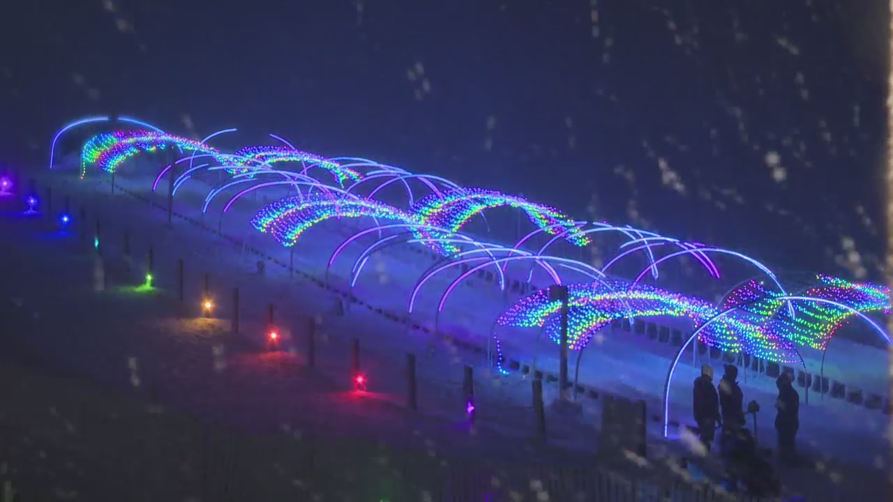 Bowers School Farm holds 'glow tubing' amid snowstorm