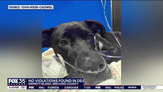 OSHA closes investigations into Merritt Island deadly crane collapse