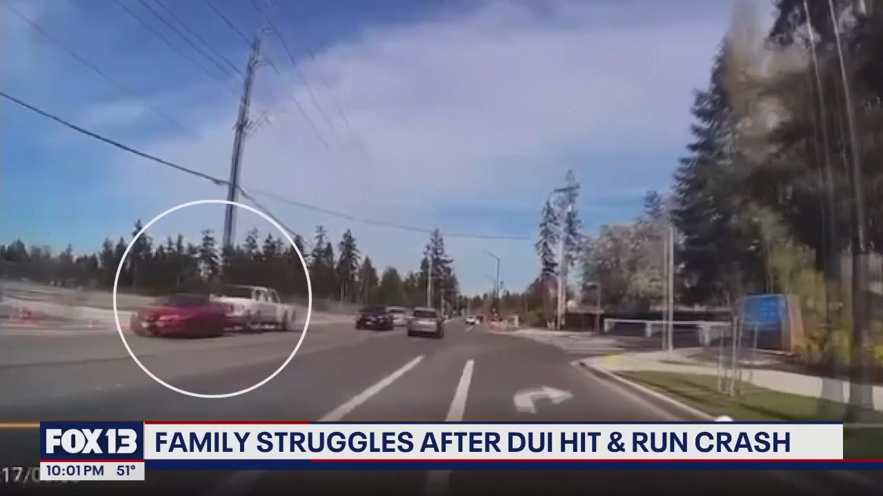 Suspected DUI driver slams into multiple cars in Olympia, WA | FOX 13 ...