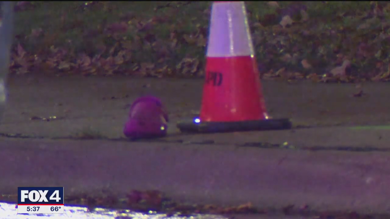 2 killed in Arlington hit-and-run crash