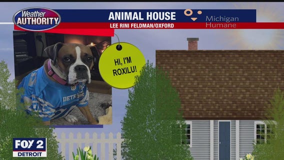 Welcome Roxilu, Emma, Mac