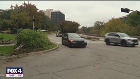 Speeding Tesla driver caused deadly crash, report says