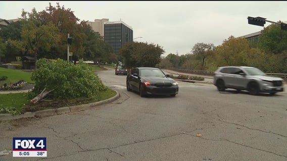 Speeding Tesla driver caused deadly crash, report says