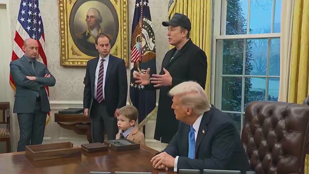 Musk?s government cuts face backlash, legal fight