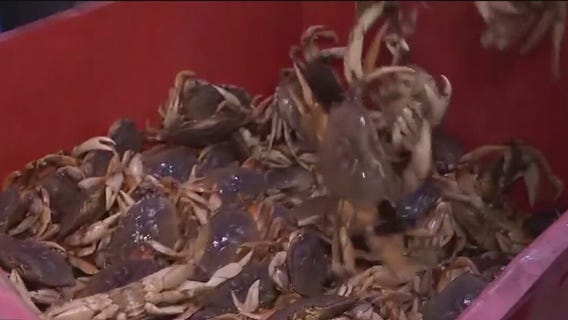 Dungeness crab season delayed