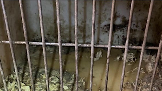 Two women arrested in Gwinnett animal cruelty case