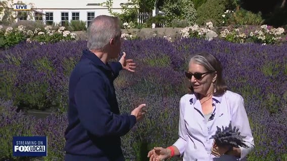 Zip Trips: Fresh picks at Lavendar Hill Farm