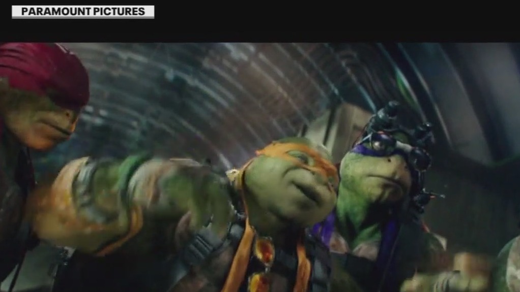 Teenage Mutant Ninja Turtles