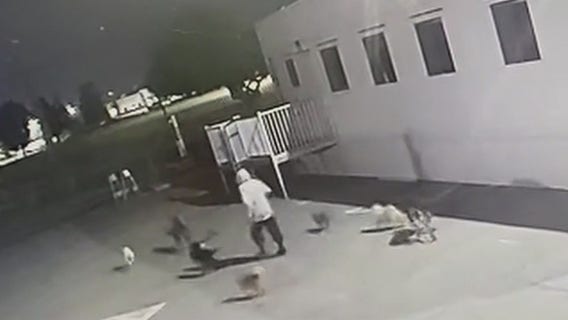 Dog missing after break-in at San Bernardino shelter