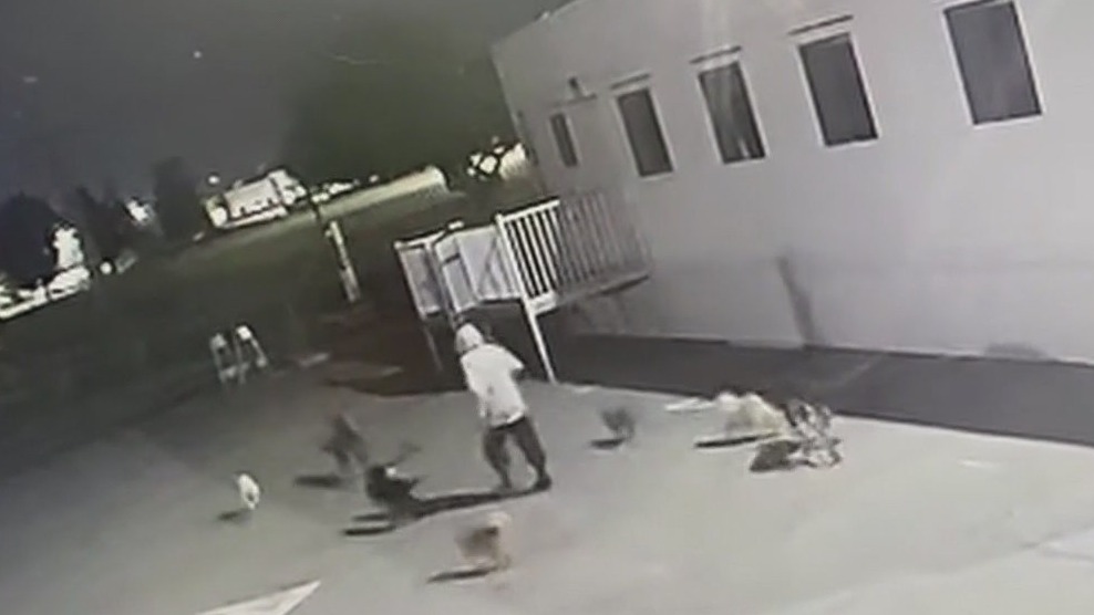 Dog missing after break-in at San Bernardino shelter