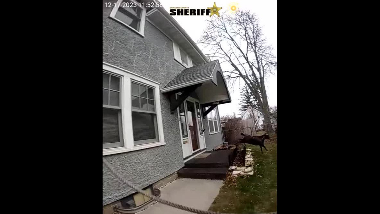 Deputy captures goat in Rochester neighborhood