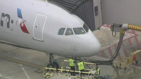 Bird strike forces flight to SFO back to Philadelphia