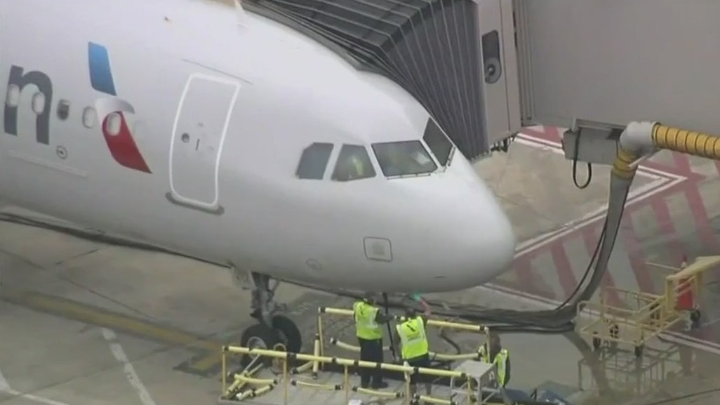 Bird strike forces flight to SFO back to Philadelphia