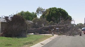 Monsoon: Cleanup continues after Thursday storm