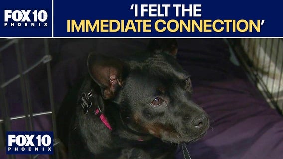 How Arizona inmates and shelter dogs are helping veterans heal