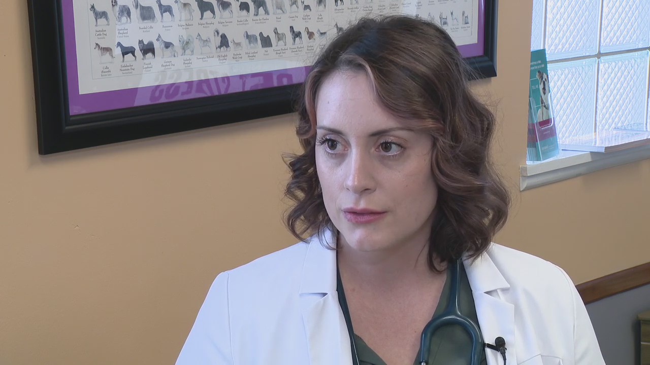 Winter pet safety is a necessity as temps drop