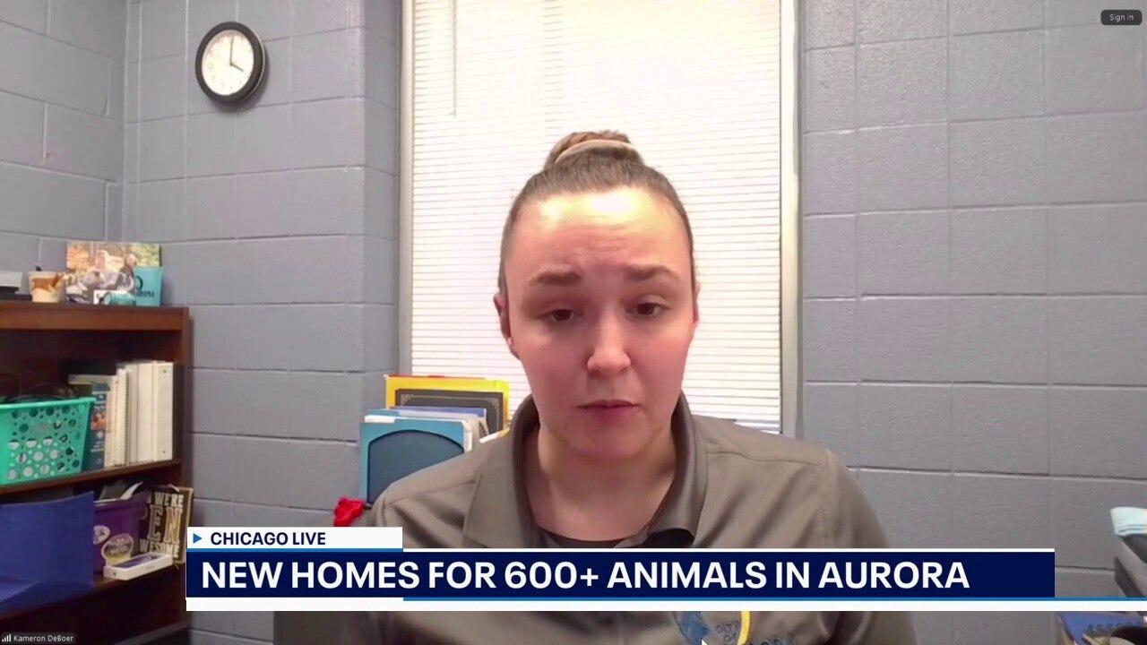 Aurora Animal Care and Control help more than 600 animals find homes | ChicagoLIVE 