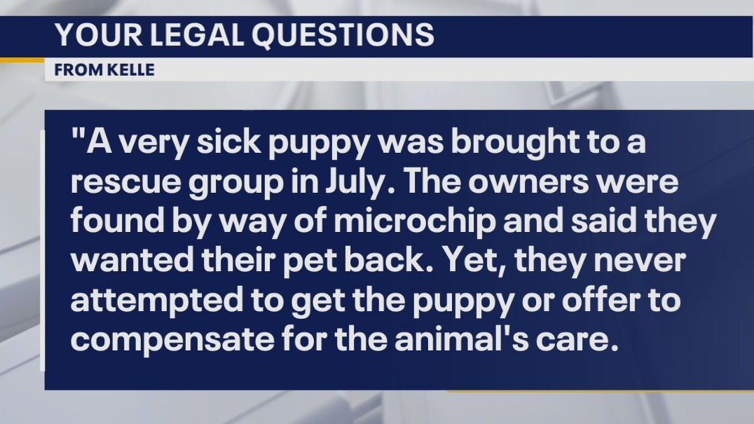 Your Legal Questions: Probating will; dental work; sick puppy