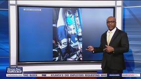 Dolphin leaps into fishermen's boat