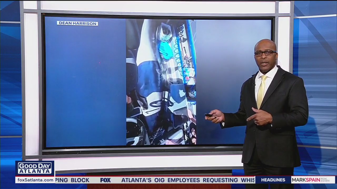 Dolphin leaps into fishermen's boat