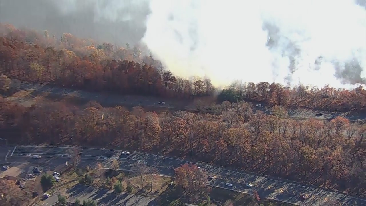 Brush fire near Palisades Interstate Parkway