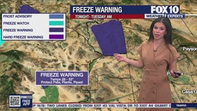 Morning Weather Forecast - 12/1/25