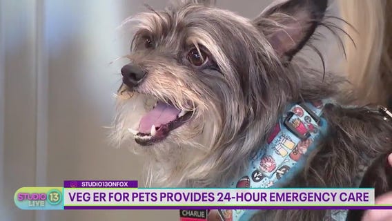 SPONSORED: VEG ER for Pets provides 24-hour emergency care