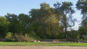 Jefferson County skydiver hits tree