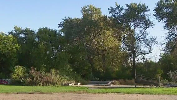 Jefferson County skydiver hits tree