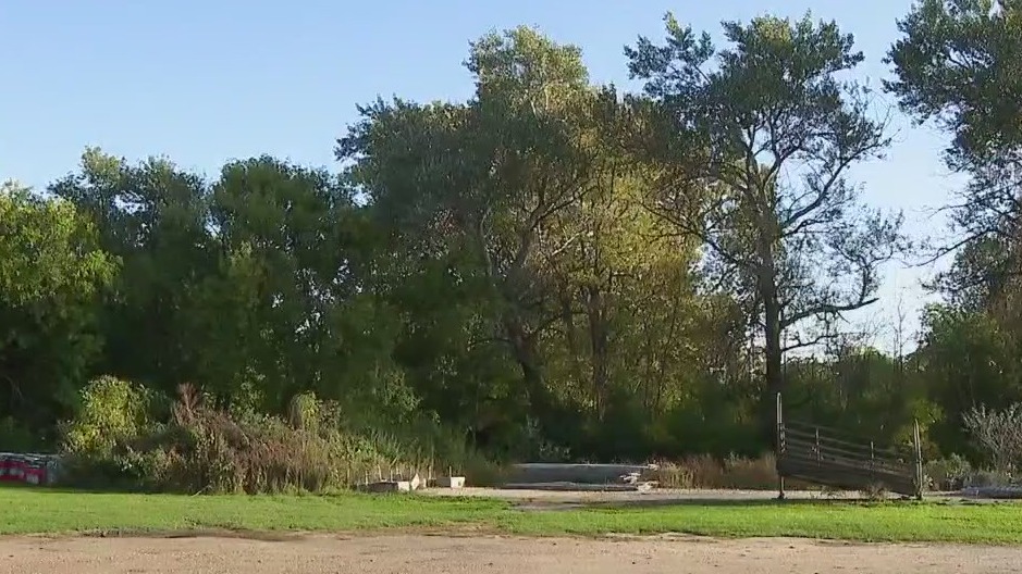 Jefferson County skydiver hits tree