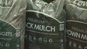 The bountiful benefits of mulch