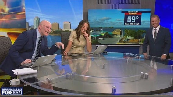 Good Day Goodies | November 14, 2025