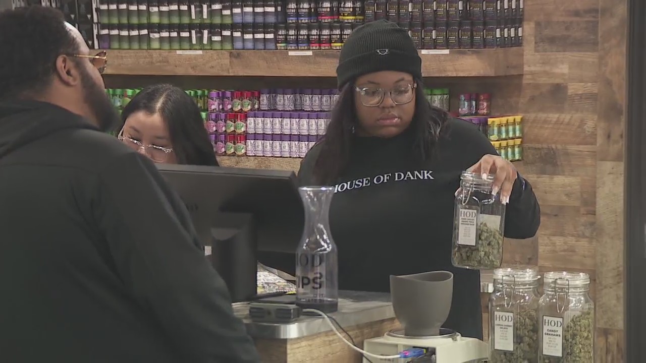 Cannabis sales hit record high in Michigan