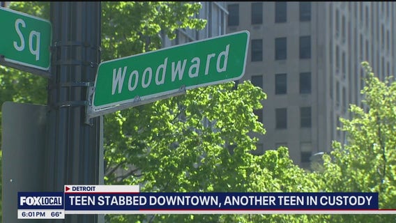 Teen stabbed at Campus Martius Park in Detroit, expected to survive