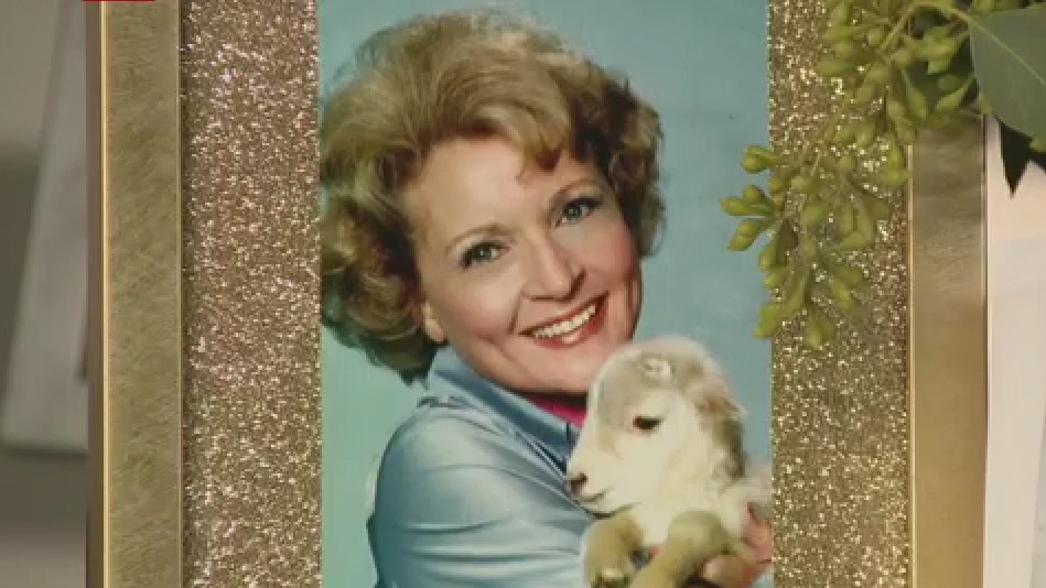 Bayou City Buzz: Betty White tribute event