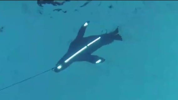 Deterring shark attacks with LED lights