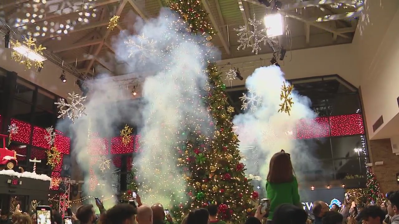 Vote for the Weather Authority's Christmas Tree at Twinkle Town by