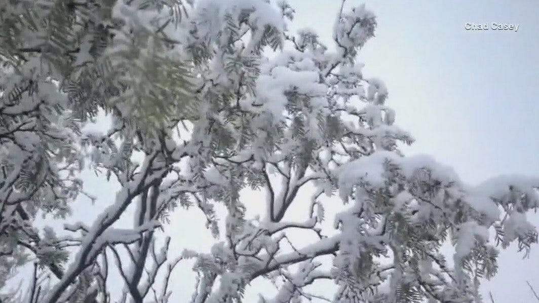 Snow in Texas, atmospheric river, and a drunk raccoon | Forecasting with Friends