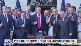 President Donald Trump's first six months in office