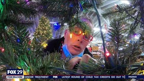 Finding the perfect Christmas tree may be more difficult this year