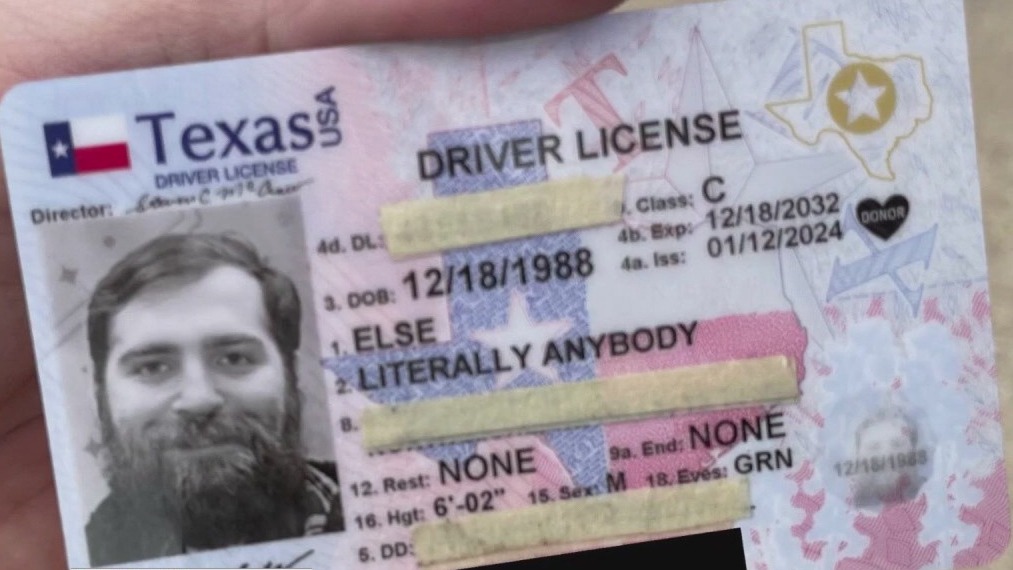 'Literally Anybody Else' runs for president