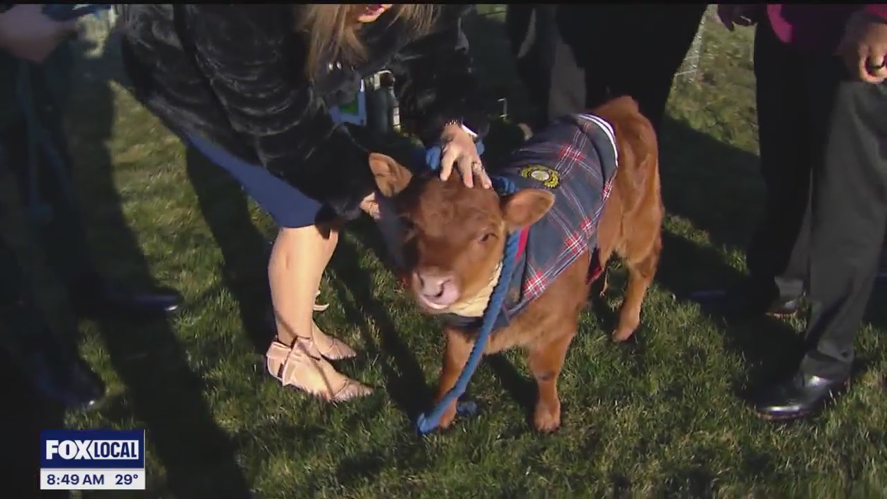 Shriners as Mentors and Pingree farms come together for Easter egg hunt