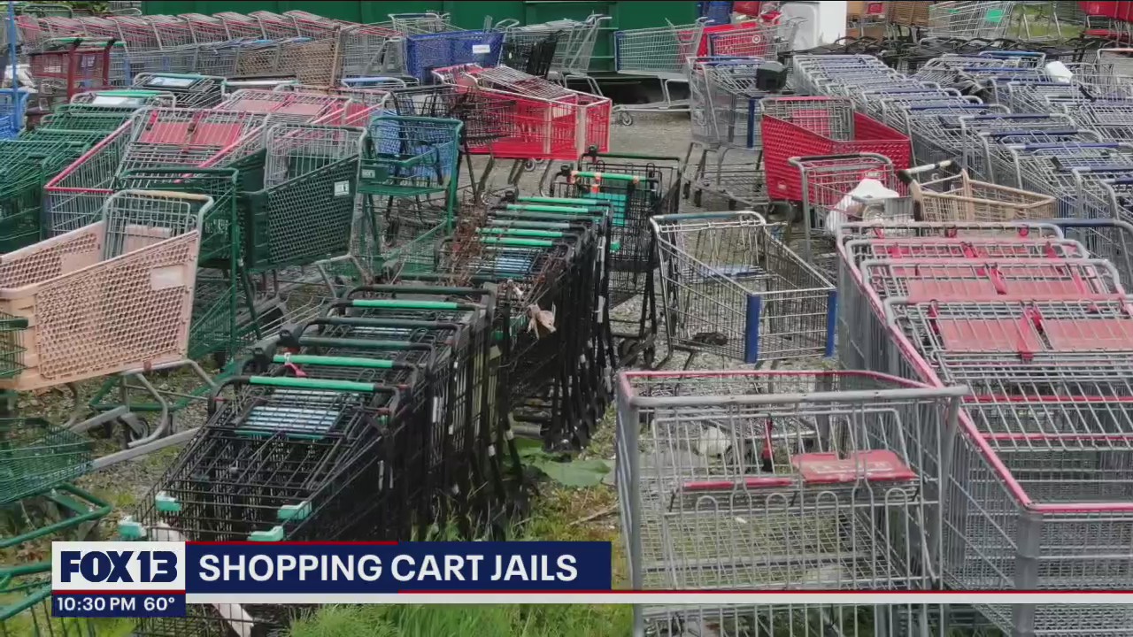Shopping cart jail: Stores face fines to reclaim abandoned carts - even if they were stolen