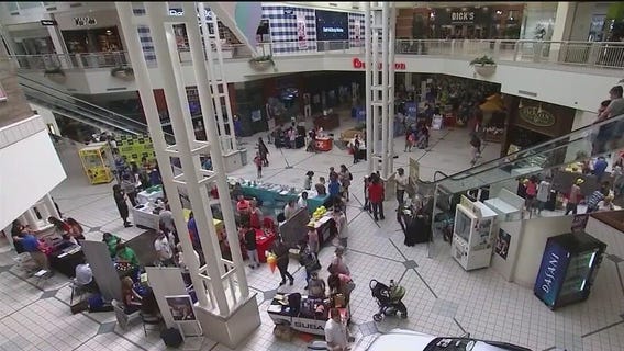 Some malls are thriving, others are struggling