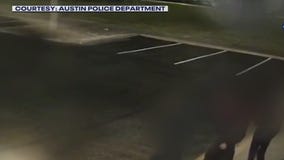 Teens charged in Del Valle murder: CrimeWatch