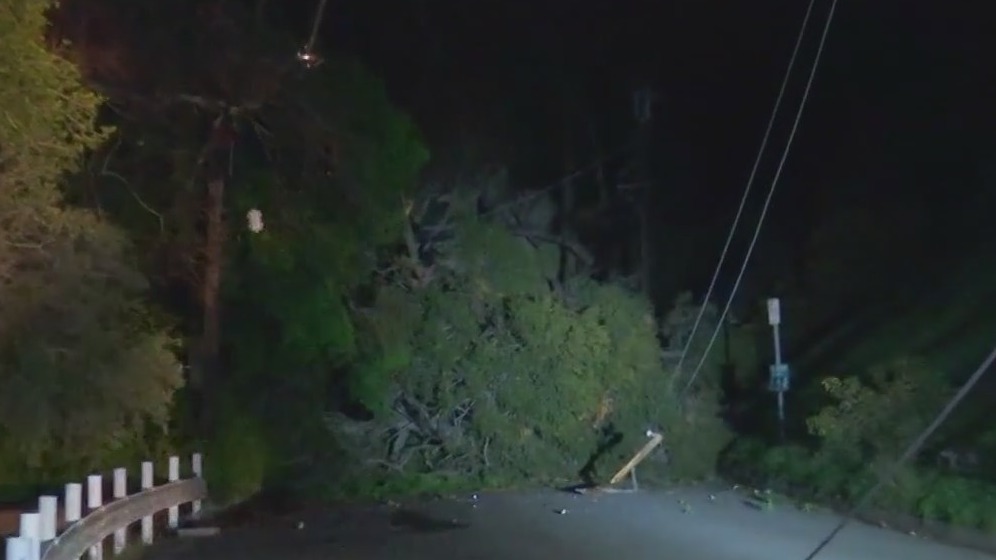 Tree falls, takes down power lines in Brentwood